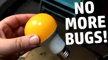 Review of Dusk-to-Dawn Yellow Light Bulb: No Bugs!