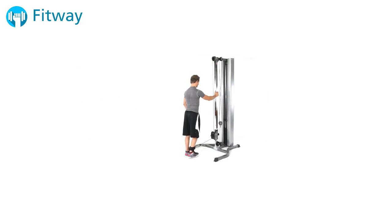 How To Do Cable Leg Curl Kick Leg Workout Exercise YouTube