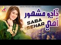 Dadho mashoor aahe  saba sehar  modeling song  official  suhani production