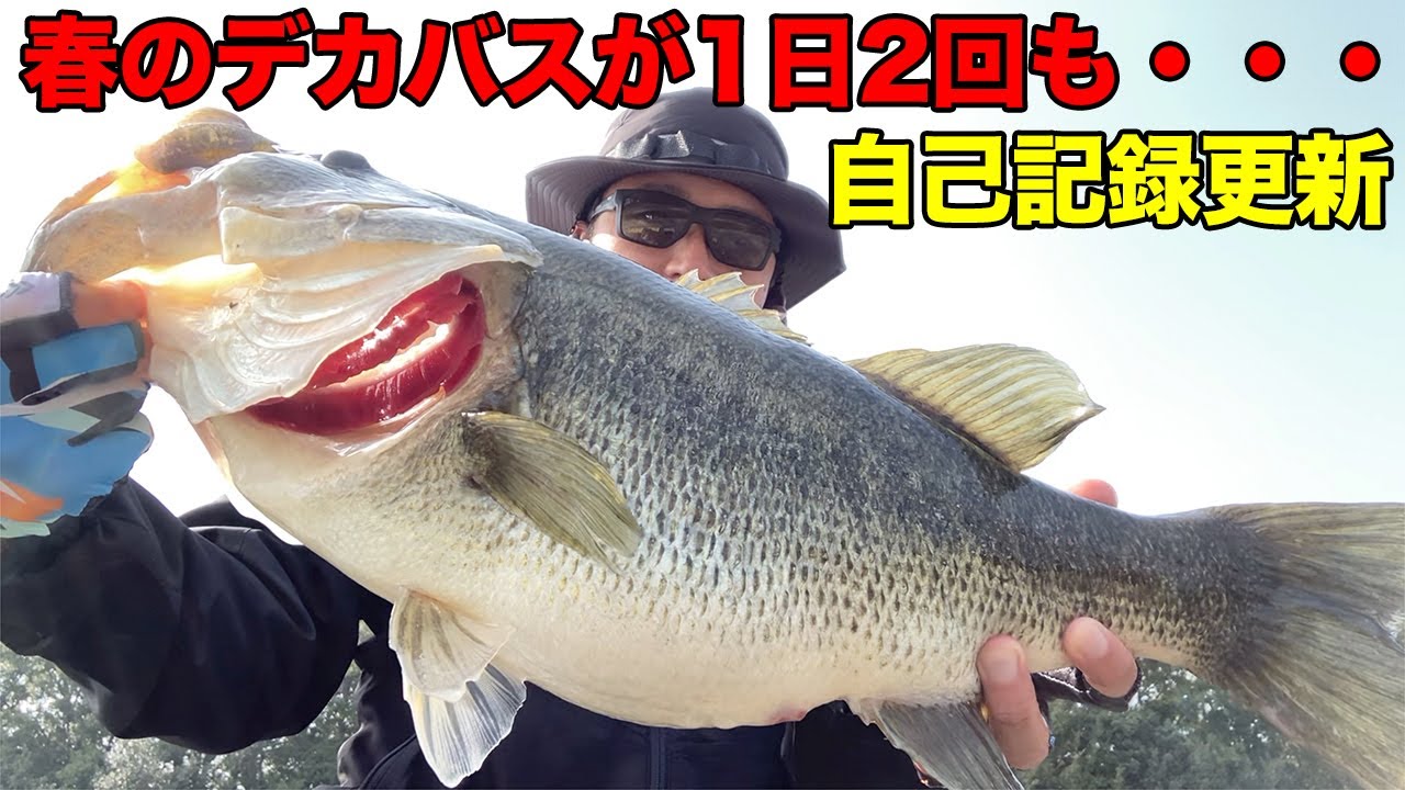 ステルススイマーが春のデカバスに襲われまくる もうちょいで神回 琵琶湖バス釣り Youtube