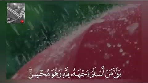 تلاوة خاشعة وآيات مباركة من سورة البقرة📚|القارئ أحمد النفيس|حالات واتس اب إسلامية💞