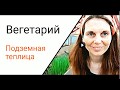 Вегетарий (подземная теплица-термос)