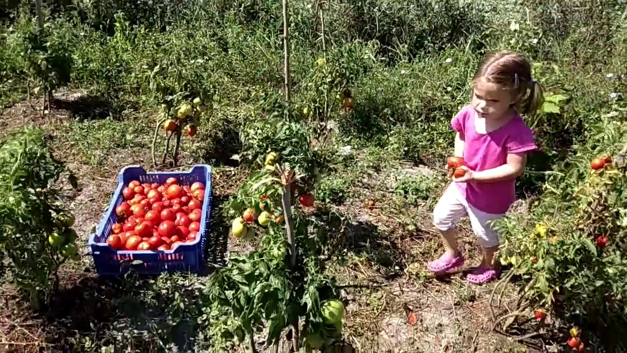 galandféreg kígyó férgek helminták gömbféreg