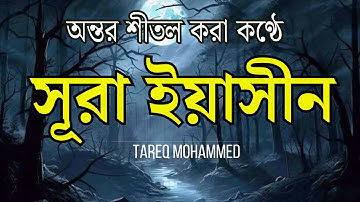 সূরা ইয়াসিন ( سورة يس‎) অত্যন্ত দরদী তেলাওয়াত || Surah Yaseen by Tareq Mohammed