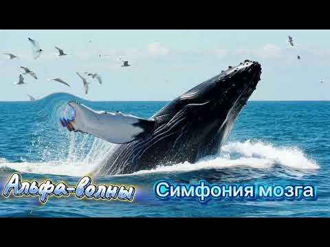 Симфония мозга-музыка для тонкой сонастройки полушарий мозга. Альфа-волны. Расслабление и медитация.