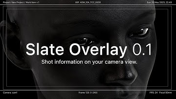 Houdini Tool - Camera Info Overlay