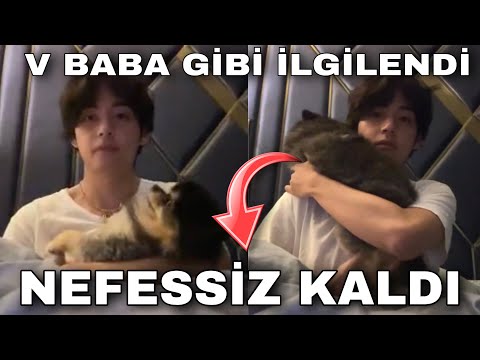 Video: Yeontan hansı cinsdir?