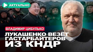 50000 рабочих из Северной Кореи перекроют дефицит кадров в Беларуси / Актуально