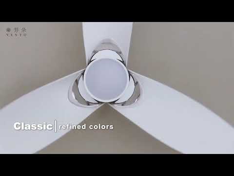 48 Inch Ceiling Fan- Aeolos 