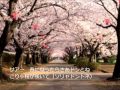 【島倉千代子】日本よいとこ【追悼】