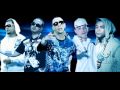 Don Omar ✖️ Baby Rasta y Gringo | Ella Se Contradice (Remix )