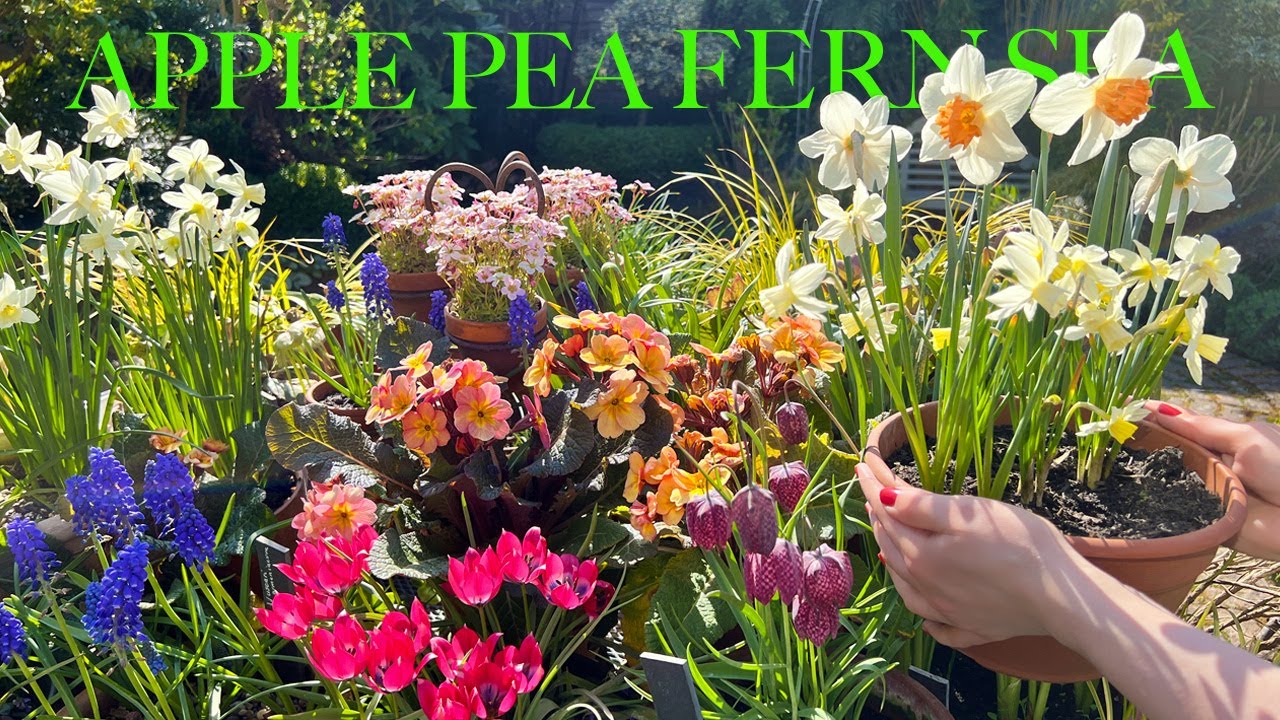 April Garden Update! Our Beautiful Container Blooms, Spring Flowers for Shade & a Stylish Visit