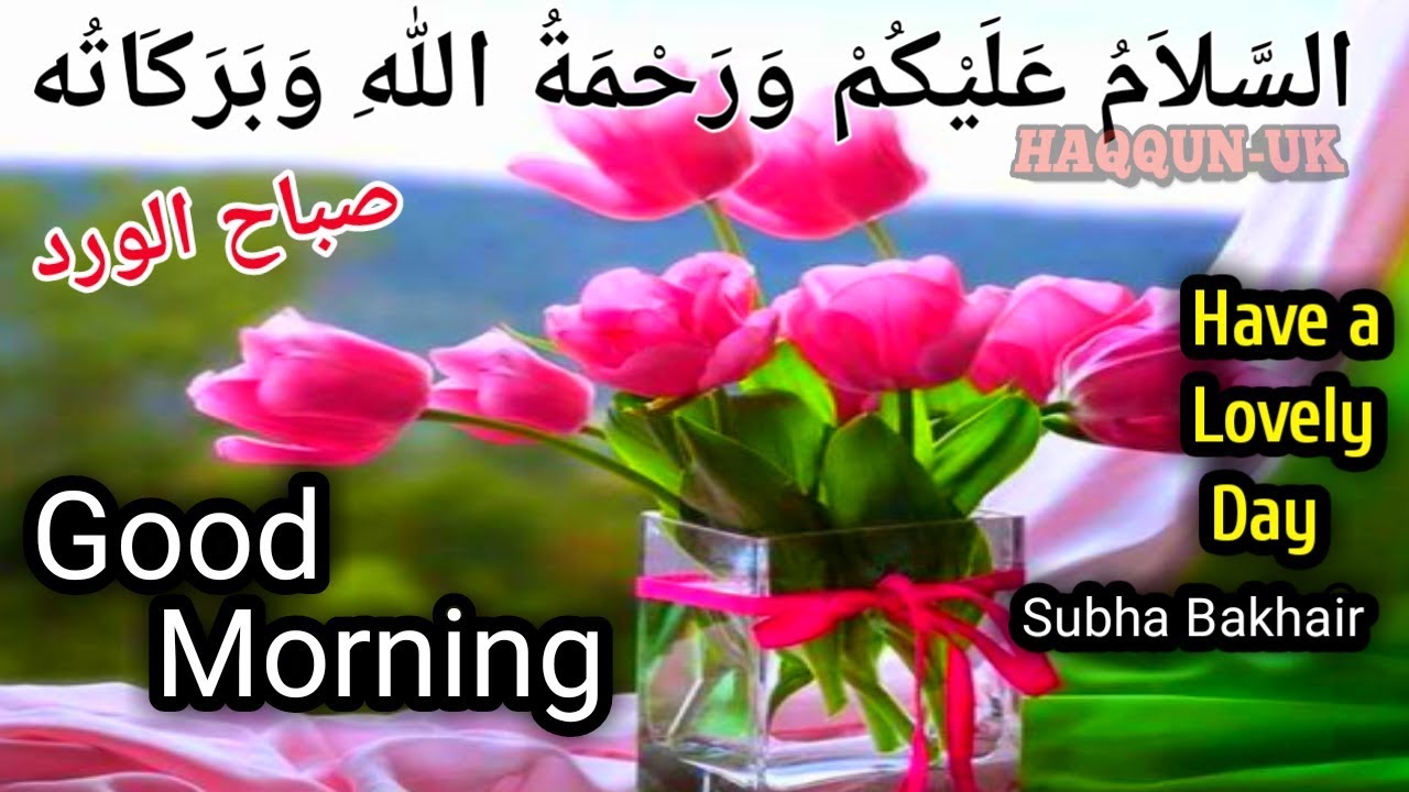 Good Morning wishes,Whatsapp Video,Greetings,Quotes| Subha ...