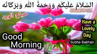 👍🏻Selamat Pagi💙 ucapan, Video Whatsapp, Salam, Kutipan | Subha bakhair|صباح الورد