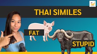 Learn Thai similes - Why Thais say "Stupid like a buffalo" โง่เหมือนควาย