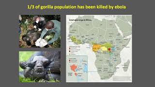 Lecture 9 Environmental Health
