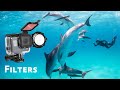 All About GoPro Filters Underwater