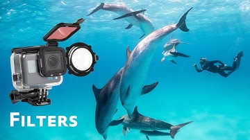 All About GoPro Filters Underwater