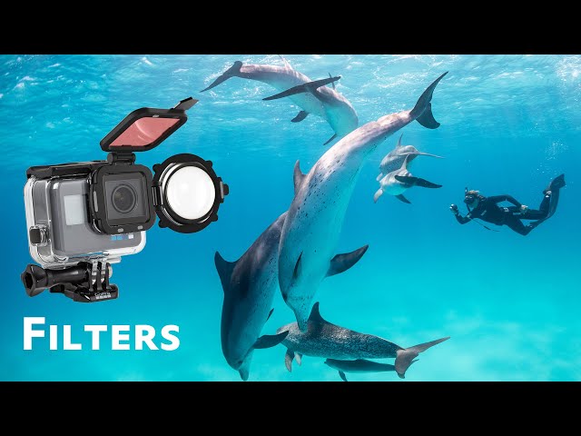 Guide for the Best Filter for your GoPro - Underwater Photography -  Backscatter