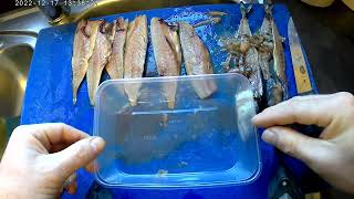 How to prepare and salt preserve mackerel, and other fish. Fish love salted baits.