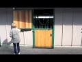 Horse Stable Stall Dutch Door: Red Wagon Farm Horse Stable Stall Dutch Door: Red Wagon Farm