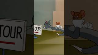 🛑 WRONG TURN! 🐕 Square Head Fail! #TomAndJerry #ClassicCartoons #Boomerang #shorts