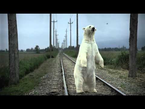 Nissan Leaf --Polar Bear-- Electric Vehicles