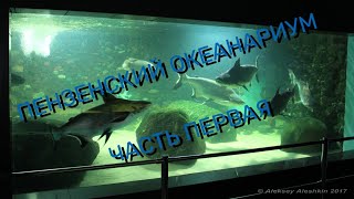 видео: Пензенский океанариум часть первая! картинка: Пензенский океанариум часть первая!