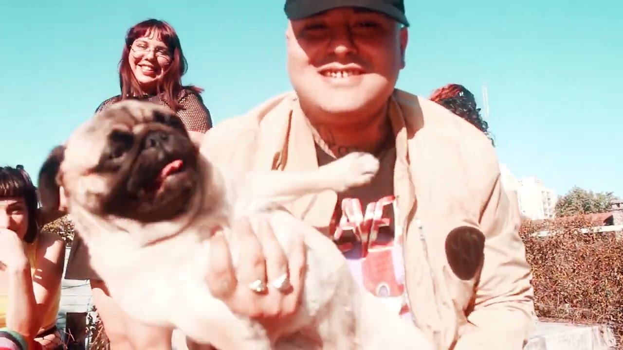 Watch EL DOCTOR - EL AVAL Feat 777GOTBEATS, Crilo, Tio Mario (shot by Dubois) on YouTube Watch EL DOCTOR - EL AVAL Feat 777GOTBEATS, Crilo, Tio Mario (shot by Dubois) on YouTube