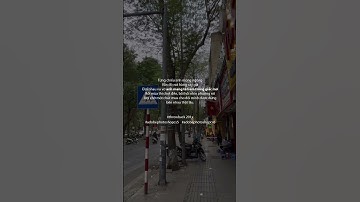 Font chữ đầu tiên mình dùng khi học Thiết kế đồ hoạ. #hocthietkedohoa #shorts #font #graphicdesign