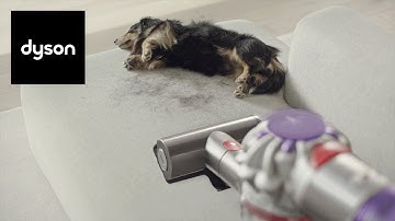 Dyson V8™ cordless vacuum | Powerful cleaning with low noise and hair de-tangling
