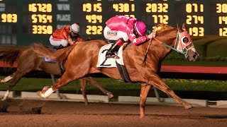 Kaweah Bar Handicap and potential star Norco in action