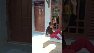 Cahya Sinih Ada Burung D Pohon Pepaya