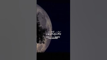 {سورة الرعد} القارئ عبد الرحمن مسعد