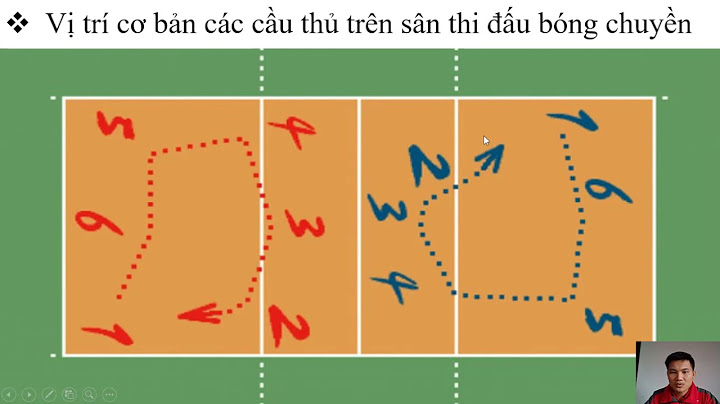 Hướng dẫn vị trí đưng trên sân bóng chuyền hơi