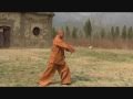 Shaolin kungfu  chanwuyi  pan gen twisting root