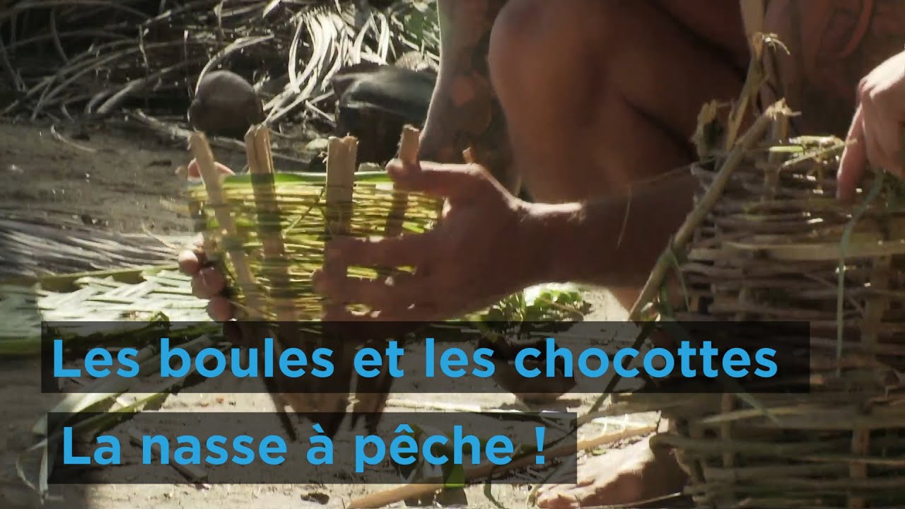 À la pêche aux protéines ! I Les boules et les chocottes - YouTube