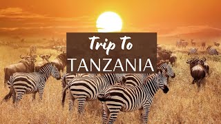 4K Zanzibar, Tanzania Safari - A trip to remember #zanzibar #tanzania #safari