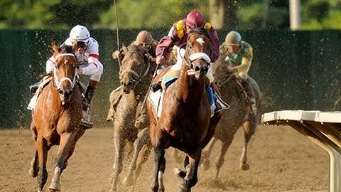 2008 Haskell Invitational Stakes - Big Brown