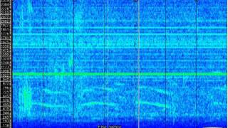 The Mississippi Moan Howl - Recorded by John Callendar in 2004 - Mississippi_long.mpeg