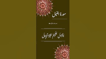 تلاوة هادئة تريح الاعصاب 🎧 سورة الفيل 🤍