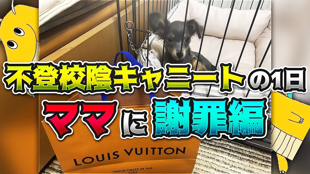 【実写】不登校陰キャオタクの1日 ママに生まれ来てた事を謝罪編