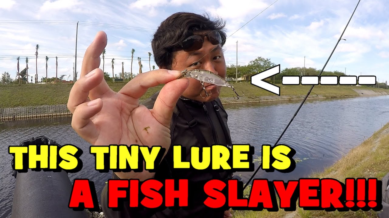 I ESLAYED NICE FISH on This TINY EUROTACKLE LURE!!! Lure Review w