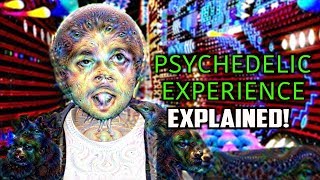 10 Hallucinatory States Of The PSYCHEDELIC Experience