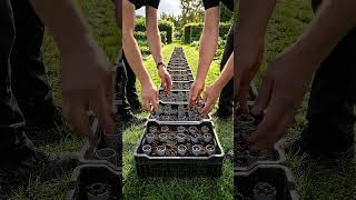 Grow PERFECT Carrots Every Time! 🥕 DIY PVC Pipe Garden Hack