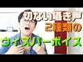 カラオケで歌うまになるためのささやき声 2種類のウィスパーボイス
