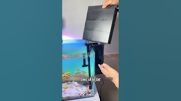 Nâng cấp Lọc Thác Khổng Lồ với module lọc khô #LocThacKhongLo #BeCaTrong #LocHoCa