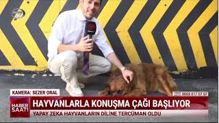 Yapay Zeka Sayesinde Hayvanlarla Konuşma Çağı Başladı