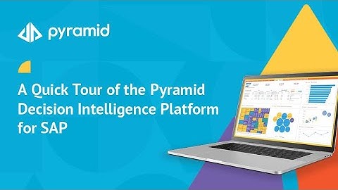 Decision Intelligence Platform for SAP - Overview