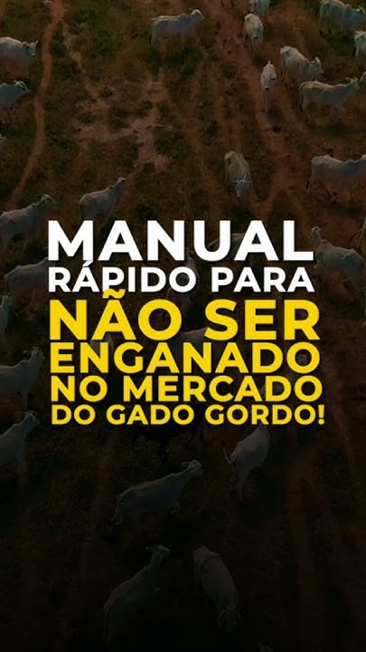 Manual Rápido Para Não Ser Enganado No Mercado Do Gado Gordo!